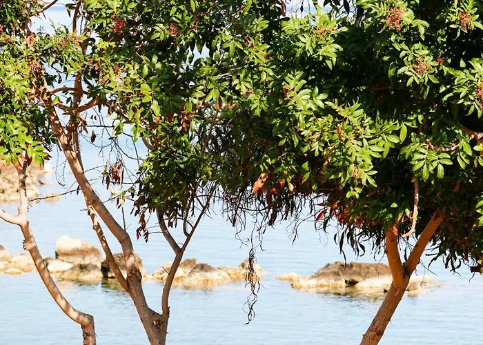 Lejlighedshotel Sirena Bay House And Luxury